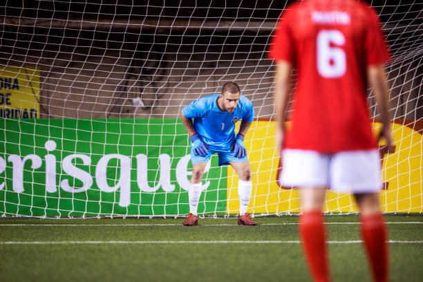 她成为所有 她成为所有